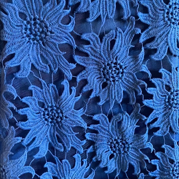 Adrianna Papell size 12 a-line lace stunning dress - Picture 2 of 4